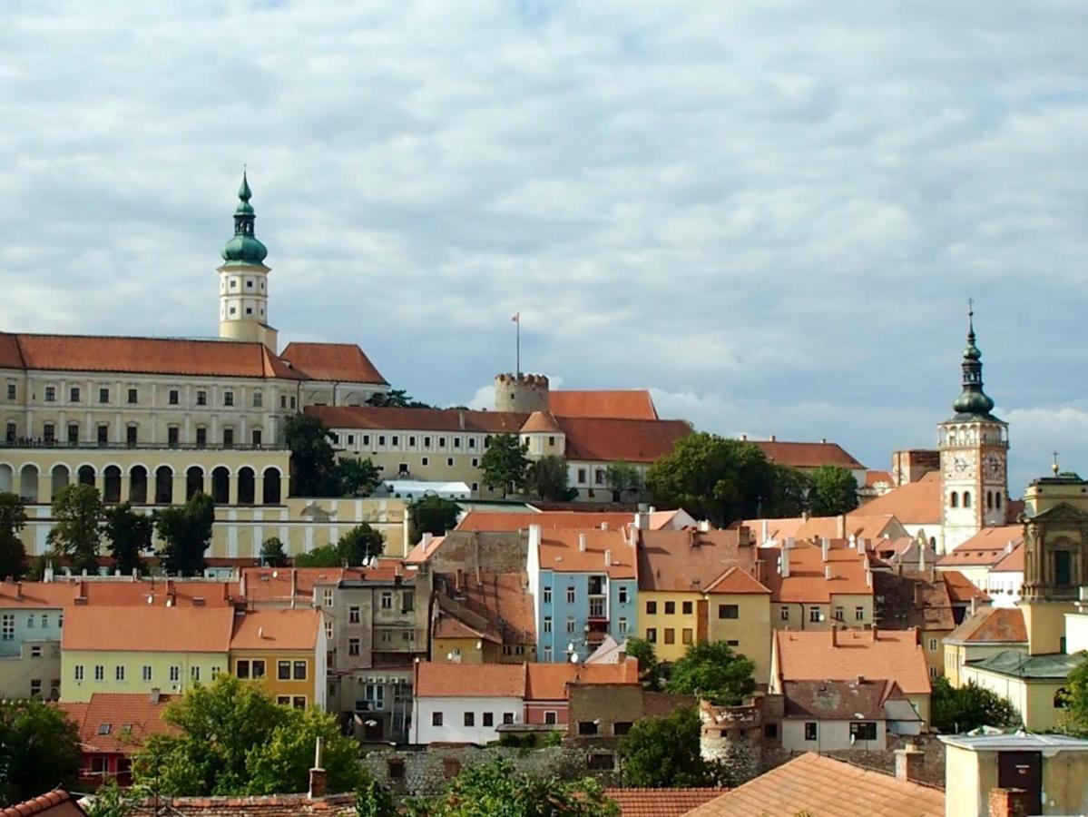 Apartmán Nesyt *